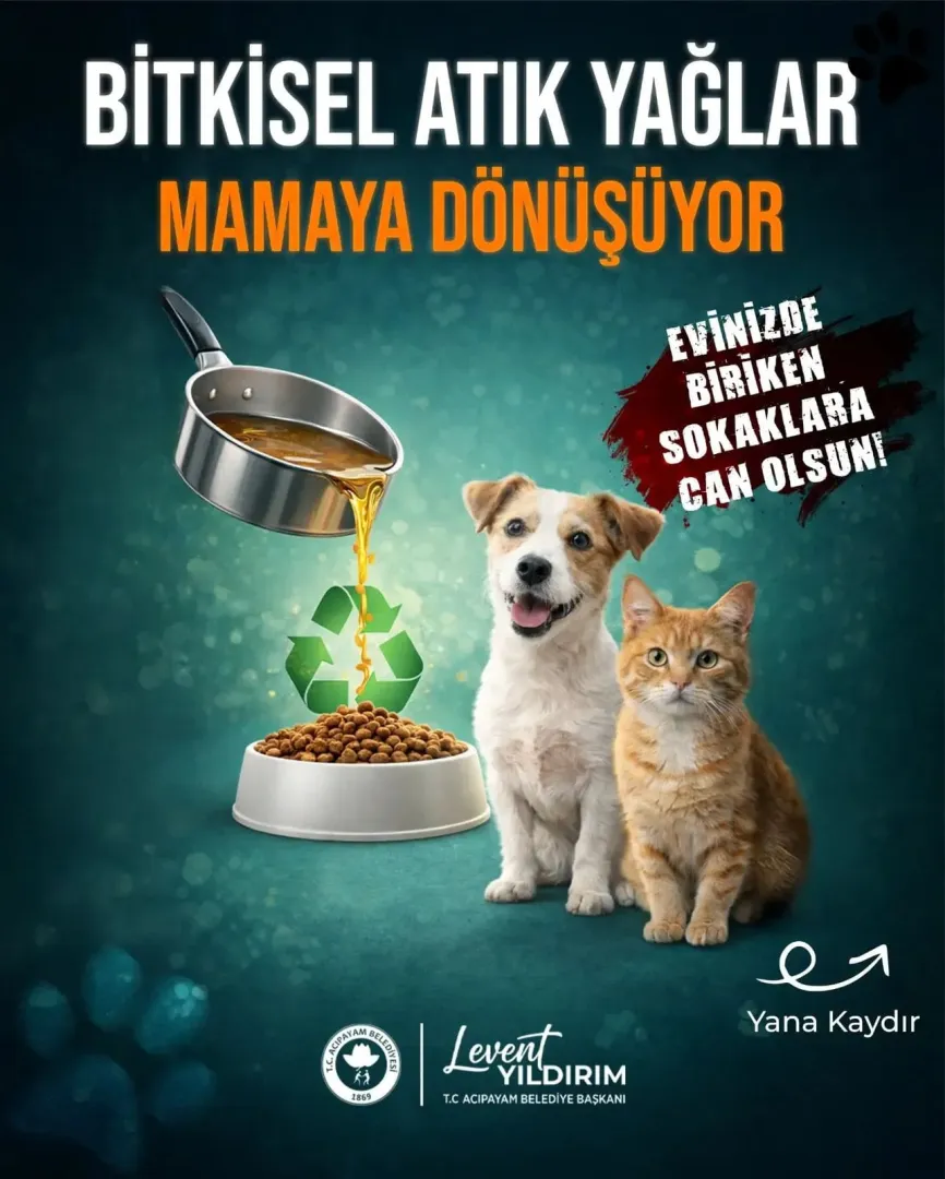 Bitkisel Atık Yağlar, Patili Dostlar İçin Umut Oluyor!
