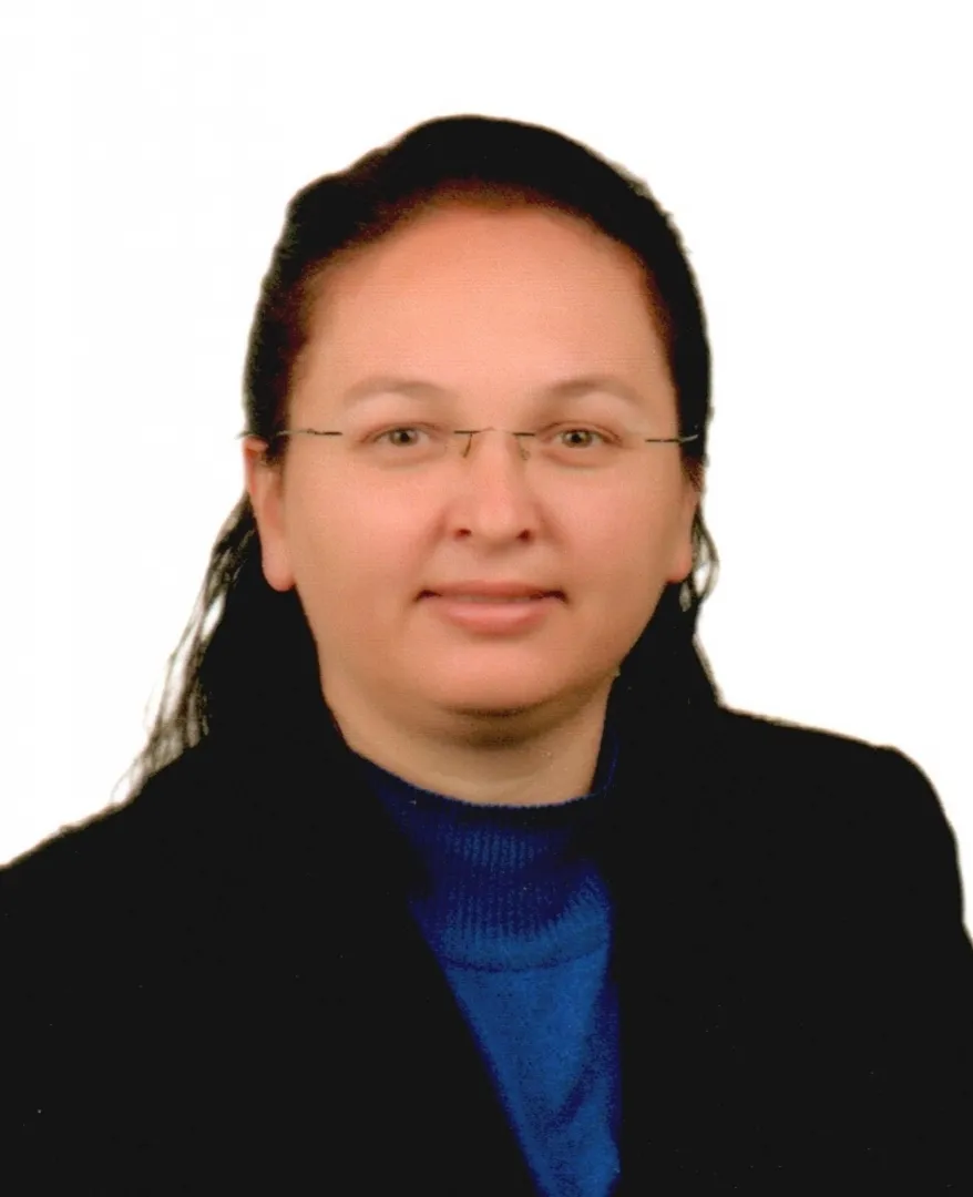 Gülçin İPEK